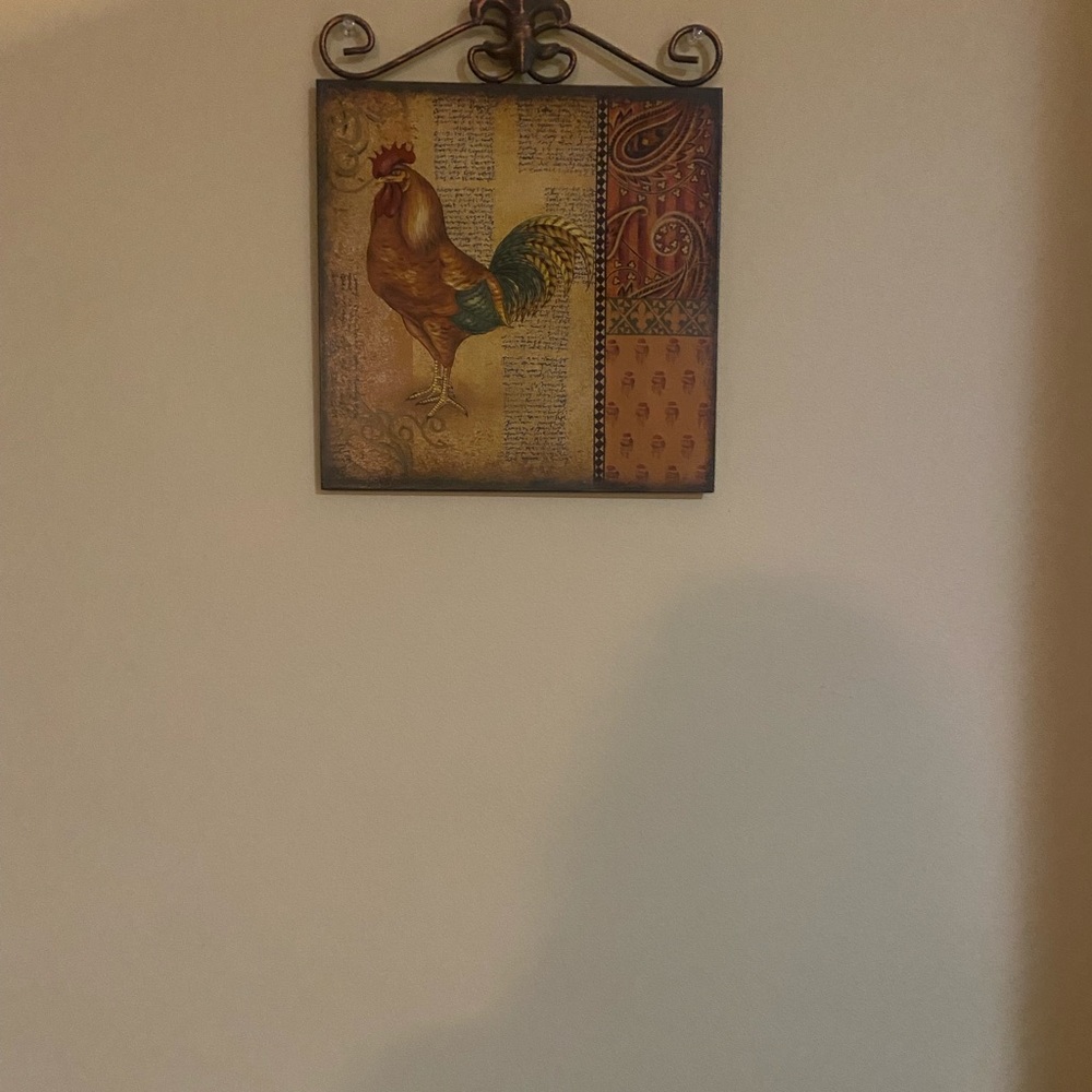 rooster pictures